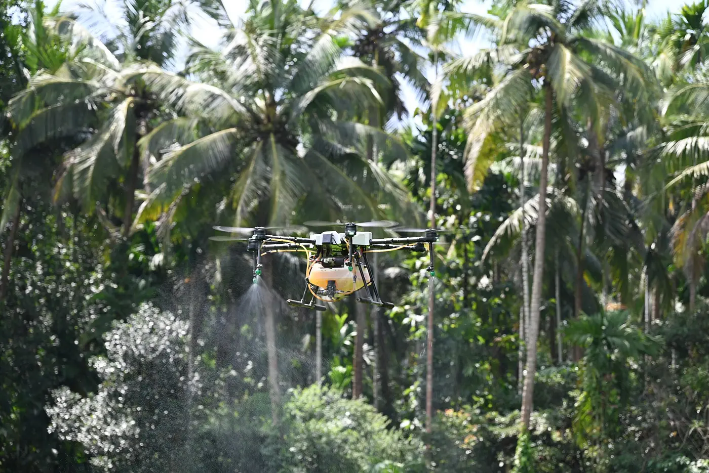Agricultural spray drone flying above a plantation, releasing a fine mist